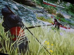 画像ギャラリー No.011のサムネイル画像 / ［PAX 2013］「Dragon Age: Inquisition」ではクナリ族もプレイアブルキャラに。同作初のライブデモがPAX Primeで公開