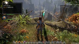 画像ギャラリー No.008のサムネイル画像 / これぞ王道! BioWareが放つ「ドラゴンエイジ:インクイジション」は,冬の夜長にはもってこいの「満漢全席」なアクションRPGだ