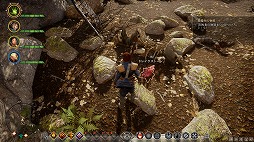 画像ギャラリー No.017のサムネイル画像 / これぞ王道! BioWareが放つ「ドラゴンエイジ:インクイジション」は,冬の夜長にはもってこいの「満漢全席」なアクションRPGだ
