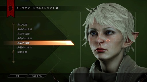 画像ギャラリー No.033のサムネイル画像 / これぞ王道! BioWareが放つ「ドラゴンエイジ:インクイジション」は,冬の夜長にはもってこいの「満漢全席」なアクションRPGだ