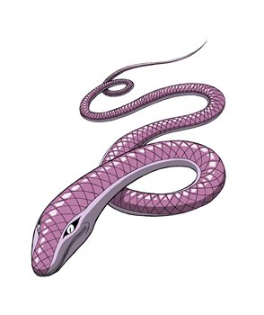 画像ギャラリー No.007のサムネイル画像 / 「トリコ グルメモンスターズ!」は12月13日に発売。主要な登場キャラクターや基本的なゲームシステムなどが公開に