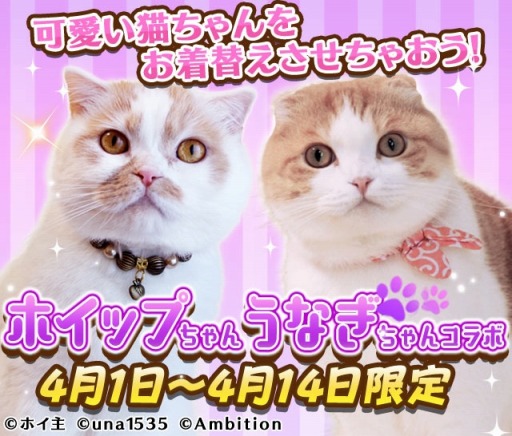 画像ギャラリー No.001のサムネイル画像 / 「フェアリードール」がSNSで人気の猫「ホイップちゃん&うなぎちゃん」とのコラボを実施