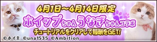 画像ギャラリー No.002のサムネイル画像 / 「フェアリードール」がSNSで人気の猫「ホイップちゃん&うなぎちゃん」とのコラボを実施