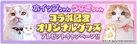 画像ギャラリー No.005のサムネイル画像 / 「フェアリードール」がSNSで人気の猫「ホイップちゃん&うなぎちゃん」とのコラボを実施