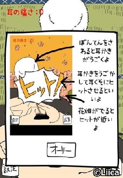 毎日の耳かき