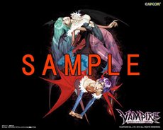 画像ギャラリー No.008のサムネイル画像 / 「ヴァンパイア リザレクション」の登場キャラクター「ビシャモン」「サスカッチ」を紹介。癖のある技の数々をムービーで確認しよう