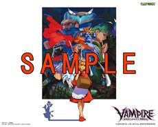 画像ギャラリー No.009のサムネイル画像 / 「ヴァンパイア リザレクション」の登場キャラクター「ビシャモン」「サスカッチ」を紹介。癖のある技の数々をムービーで確認しよう