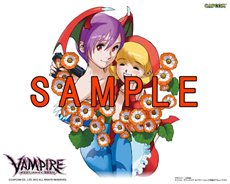 画像ギャラリー No.010のサムネイル画像 / 「ヴァンパイア リザレクション」の登場キャラクター「ビシャモン」「サスカッチ」を紹介。癖のある技の数々をムービーで確認しよう