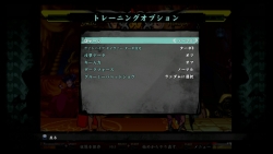 画像ギャラリー No.025のサムネイル画像 / あの「ヴァンパイア」シリーズが快適なネット対戦と共に復活。熱い戦いの日々が蘇る「ヴァンパイア リザレクション」レビューを掲載