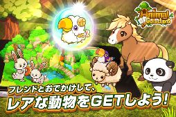 アニマルコレクション