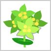 画像ギャラリー No.012のサムネイル画像 / 「ちょこっとファーム」，イベント“見上げる夜空に願いを込めて”を開催中