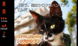 リナの黒い猫