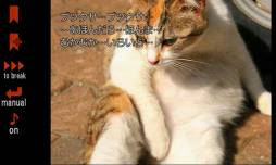 リナの黒い猫