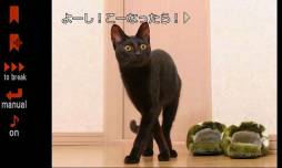 リナの黒い猫