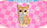画像ギャラリー No.002のサムネイル画像 / 「かわいい子猫3D」が12月13日に発売。アメリカンショートヘアやロシアンブルーなど人気の猫達の飼い主になって絆を深めよう