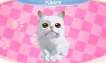画像ギャラリー No.004のサムネイル画像 / 「かわいい子猫3D」が12月13日に発売。アメリカンショートヘアやロシアンブルーなど人気の猫達の飼い主になって絆を深めよう