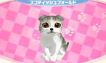 画像ギャラリー No.005のサムネイル画像 / 「かわいい子猫3D」が12月13日に発売。アメリカンショートヘアやロシアンブルーなど人気の猫達の飼い主になって絆を深めよう