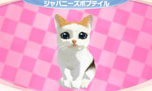 画像ギャラリー No.006のサムネイル画像 / 「かわいい子猫3D」が12月13日に発売。アメリカンショートヘアやロシアンブルーなど人気の猫達の飼い主になって絆を深めよう