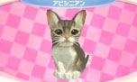 画像ギャラリー No.008のサムネイル画像 / 「かわいい子猫3D」が12月13日に発売。アメリカンショートヘアやロシアンブルーなど人気の猫達の飼い主になって絆を深めよう