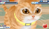 かわいい子猫3D