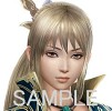 画像ギャラリー No.017のサムネイル画像 / 「真・三國無双7」,声優トークショー付き宿泊プランを4月27日開催。「BGM新曲2」やカスタムテーマ4種のDLCが本日配信