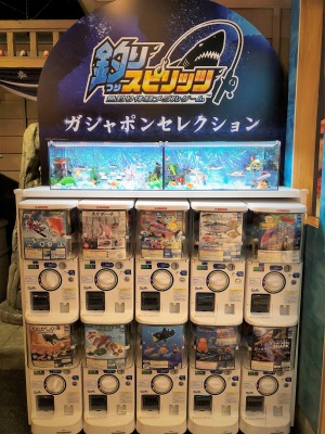 画像ギャラリー No.007のサムネイル画像 / 「釣りスピリッツ」でイベント“ズカズカズカーン！大作戦”が9月16日よりナンジャタウンで開催