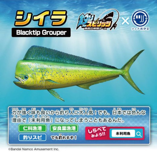 画像ギャラリー No.010のサムネイル画像 / 「釣りスピリッツ」，「ツッテ西伊豆」とコラボした“親子釣りプラン”の提供を開始