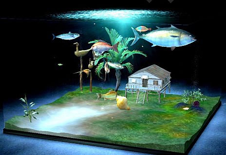 画像ギャラリー No.010のサムネイル画像 / 「Fish Hunt 世界を釣れ！」，日本国内の釣り場「隅田川（東京）/河口湖（山梨）/琵琶湖(滋賀)/式根島（東京）」が公開に。アクアリウム機能も