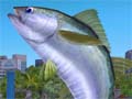 「Fish Hunt 世界を釣れ！」オープンサービスが1月17日にスタート。世界中の魚を釣り上げよう
