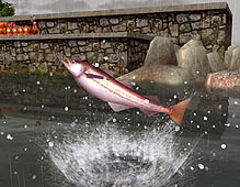 画像ギャラリー No.006のサムネイル画像 / 「Fish Hunt 世界を釣れ！」，明日からのオープンサービスを控えて，最新釣りスポットの情報を公開