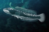 画像ギャラリー No.003のサムネイル画像 / 「Fish Hunt 世界を釣れ！」，東南アジアに位置する4つの釣り場を実装