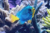 画像ギャラリー No.007のサムネイル画像 / 「Fish Hunt 世界を釣れ！」，東南アジアに位置する4つの釣り場を実装