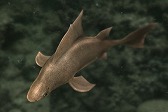 画像ギャラリー No.018のサムネイル画像 / 「Fish Hunt」,ヨーロッパを舞台にした「地中海 UPDATE-01」が実装