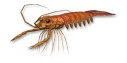 画像ギャラリー No.030のサムネイル画像 / 「Fish Hunt 世界を釣れ!」地中海の釣り場に「クレタ島」「デュデン滝」が追加