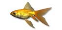 画像ギャラリー No.031のサムネイル画像 / 「Fish Hunt 世界を釣れ!」地中海の釣り場に「クレタ島」「デュデン滝」が追加