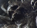 「DARK SOULS II」，ダークファンタジーな世界観がひしひしと感じられるローンチトレイラーが公開