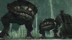 画像ギャラリー No.008のサムネイル画像 / ［E3 2014］「DARK SOULS II」なのにマップのギミックが容赦なく殺しに来ない!?　追加DLC「CROWN OF THE SUNKEN KING」プレイレポート
