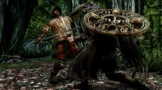 画像ギャラリー No.017のサムネイル画像 / 「DARK SOULS II」，4回目のネットワークテストを11月10日16：00〜19：00に追加実施。新たなスクリーンショットも多数公開