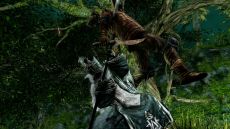 画像ギャラリー No.019のサムネイル画像 / 「DARK SOULS II」，4回目のネットワークテストを11月10日16：00〜19：00に追加実施。新たなスクリーンショットも多数公開