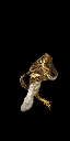 画像ギャラリー No.004のサムネイル画像 / 「DARK SOULS II」,オンライン要素を中心とした新たなスクリーンショットが公開に