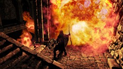 画像ギャラリー No.004のサムネイル画像 / DMM.com,PC版「DARK SOULS II」購入者にDMMギフト券1500円分を還元