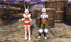 画像ギャラリー No.005のサムネイル画像 / 「BOUNDRA」,ウサギにちなんだアイテムが手に入る「中秋の名月」イベント