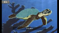 海の上 Plus