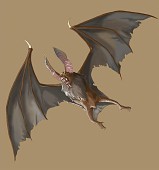画像ギャラリー No.064のサムネイル画像 / 魔王の心臓を人間から守れ。タワーディフェンスゲーム「Devil's Heart」が配信