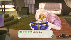 画像ギャラリー No.036のサムネイル画像 / PS Vita「メルルのアトリエ Plus 〜アーランドの錬金術士3〜」,開拓システムなど基本的なゲームの流れや,PS Vita版のかなり細かい調整項目を公開
