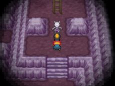 画像ギャラリー No.008のサムネイル画像 / 「ポケットモンスター X・Y」伝説のポケモン「ミュウツー」に似た新ポケモンの情報が公開。番組内でお披露目された最新映像を再確認しよう