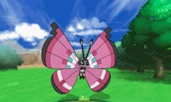 画像ギャラリー No.017のサムネイル画像 / ［E3 2013］「ポケットモンスター X・Y」のE3向け最新トレイラーが到着。新登場の“フェアリータイプ”や，ポケモンとの絆を深める「ポケパルレ」が確認可能