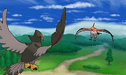 画像ギャラリー No.043のサムネイル画像 / 「ポケットモンスター X・Y」，いよいよ本日発売。ぜひ知っておきたい新要素の数々を，新たに登場するポケモンたちとまとめて紹介