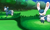 画像ギャラリー No.332のサムネイル画像 / 「ポケットモンスター X・Y」,いよいよ本日発売。ぜひ知っておきたい新要素の数々を,新たに登場するポケモンたちとまとめて紹介