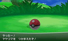 画像ギャラリー No.004のサムネイル画像 / 「『ポケットモンスター X・Y』クリスマス交換会」でメガシンカするポケモンをもらおう。ポケモンセンターおよびトイザらスで12月21日から26日まで実施